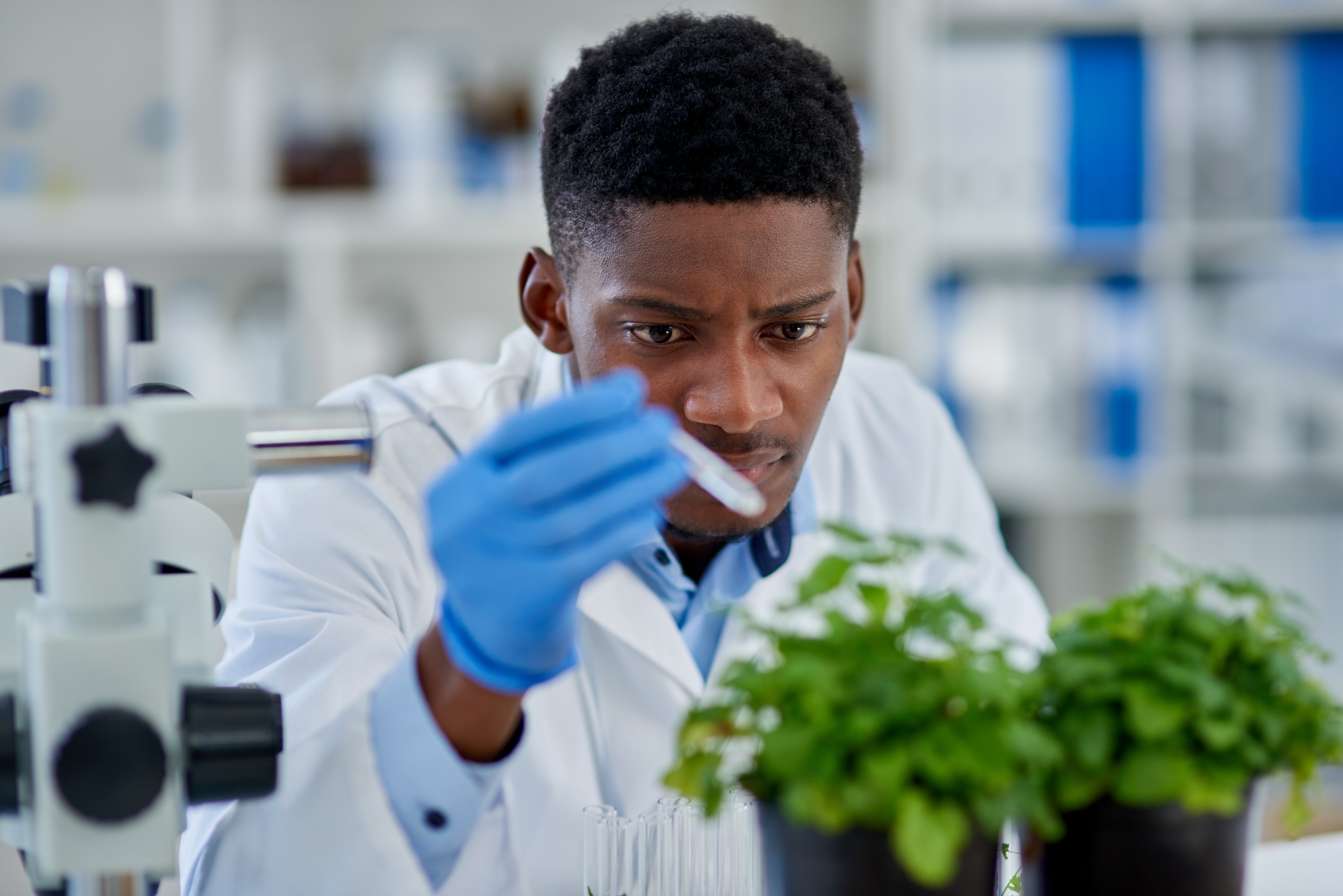 Les standards de certification bio en Afrique de l'Ouest